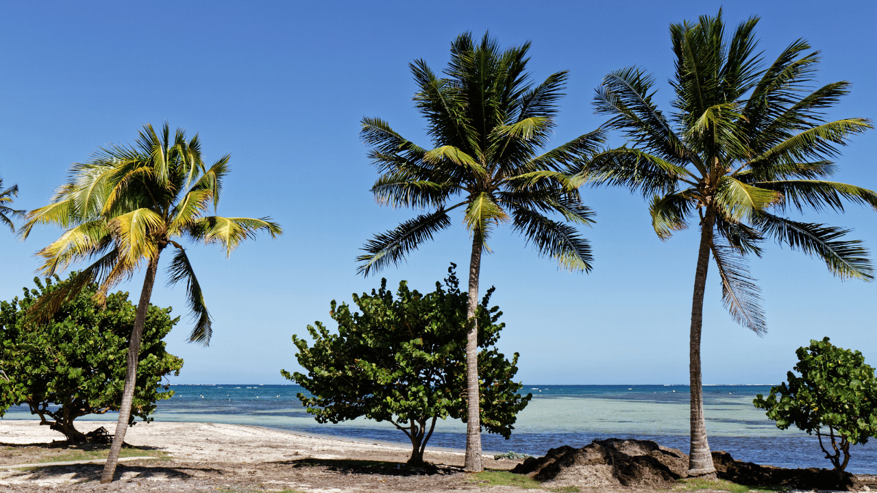 baignoire-de-Josephine-Martinique.