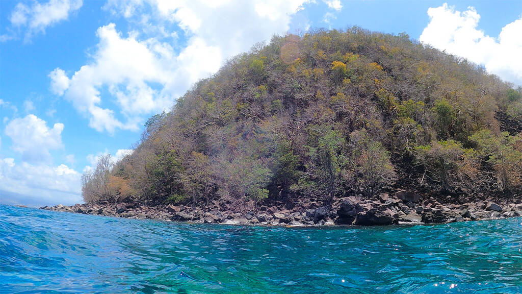 paysage de la Martinique Cap Salomon  