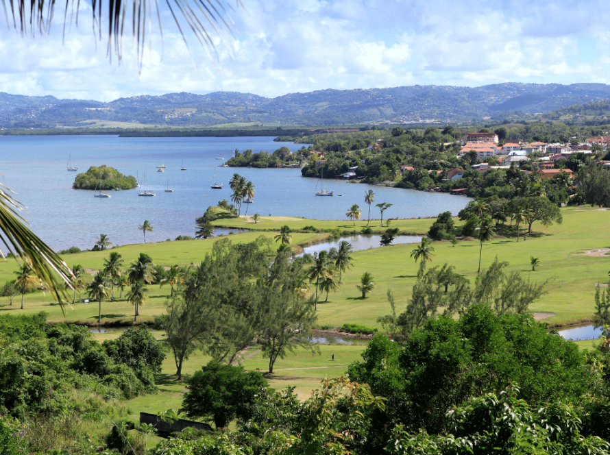 Martinique - Le Robert et ses pages