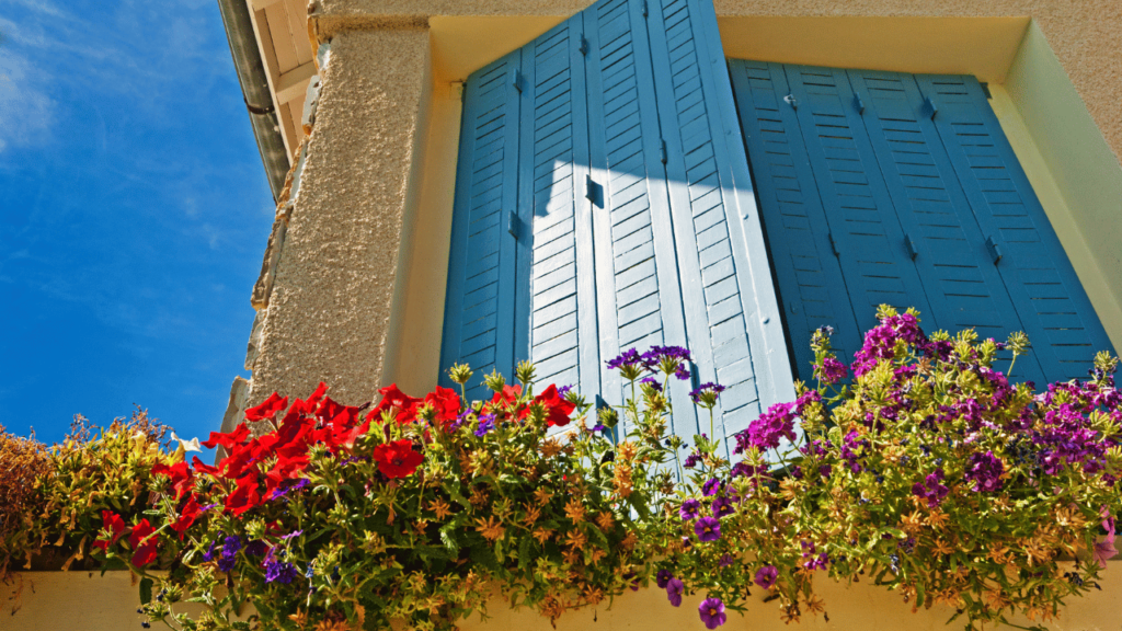 Maison gites Martinique 