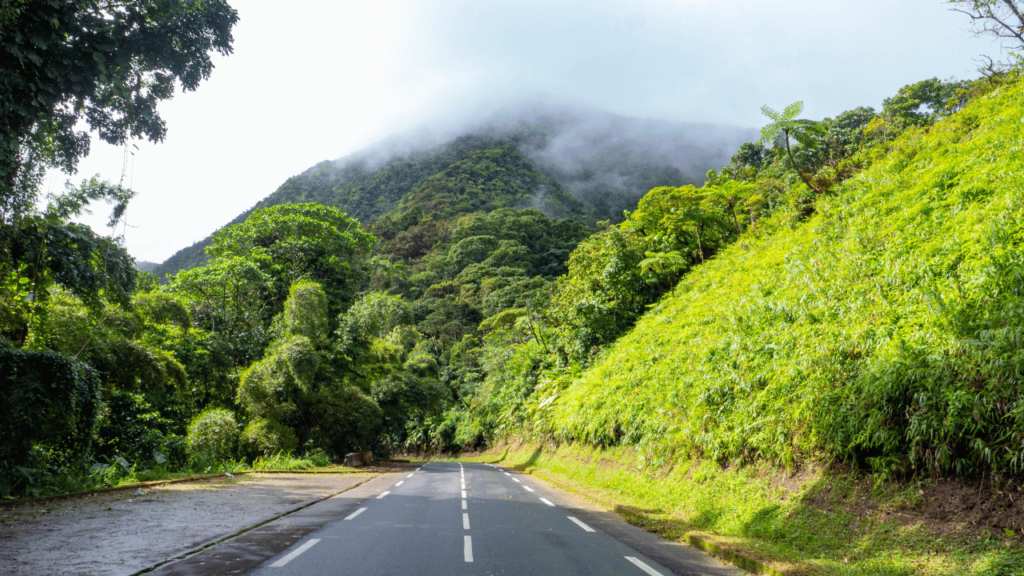 Trace Martinique Morne Vert