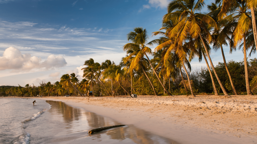 Saint-Anne Martinique la plage