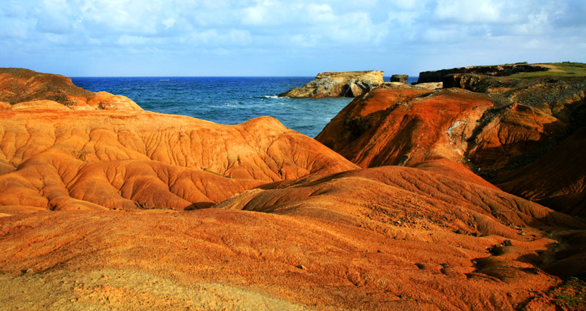 Les Falaises de la Savane Paysage de la Martinique