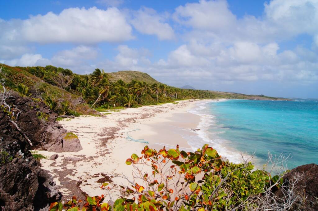 Plage de Cap Macre au Marin en Martinique 