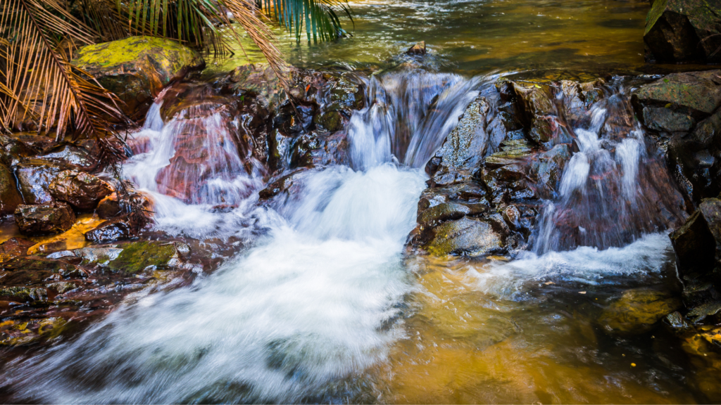 Gorges de la Falaise cascades de la Martinique