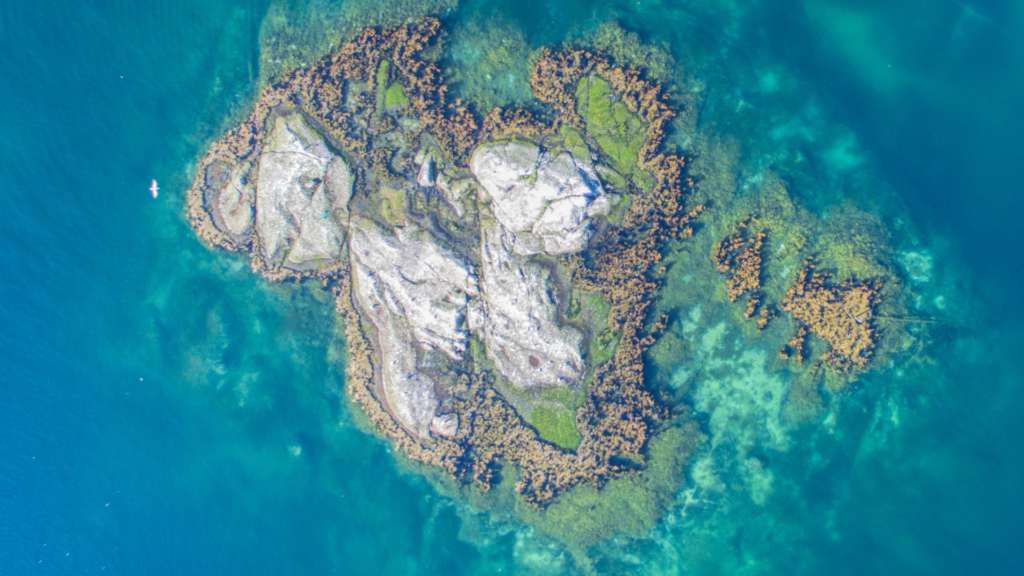 les îles de la Martinique paysage de la Martinique