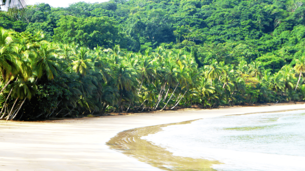 Pointe Borgnèse randonnée Martinique