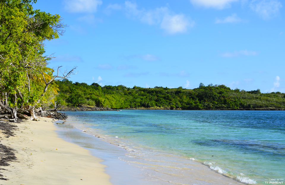 Pointe-borgnèse liste des plages secrètes de la Martinique 