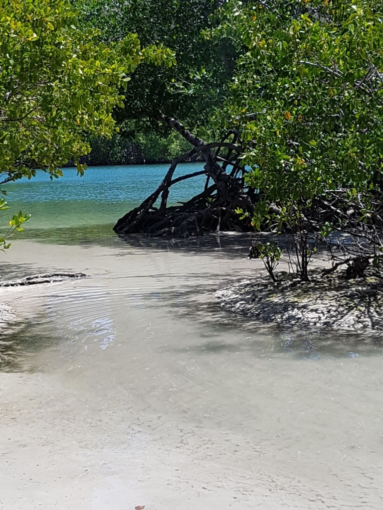 Plages secrètes de la Martinique Trou de cochon